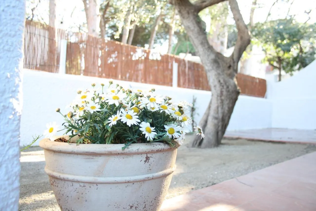 Cozy Marine & Spa Villa Cambrils